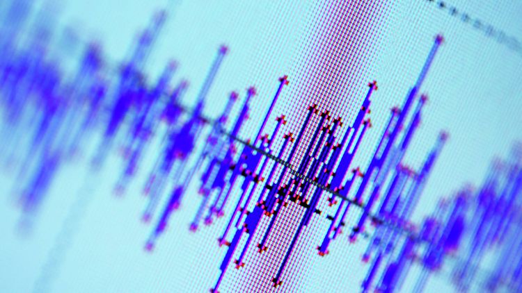 У берегов Новой Зеландии произошло третье землетрясение магнитудой 8,0