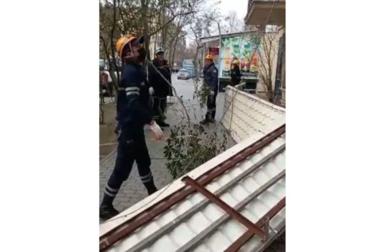 Аварийно-спасательные подразделения МЧС устраняют последствия сильного ветра – ФОТО – ВИДЕО