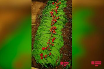 Похоронен народный артист Рамиз Мамедов - ОБНОВЛЕНО