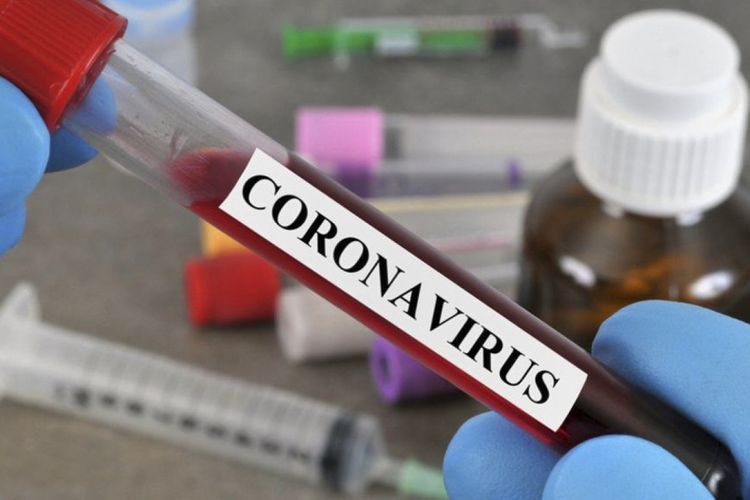В Азербайджане до сегодняшнего дня проведено 2816784 теста на коронавирус