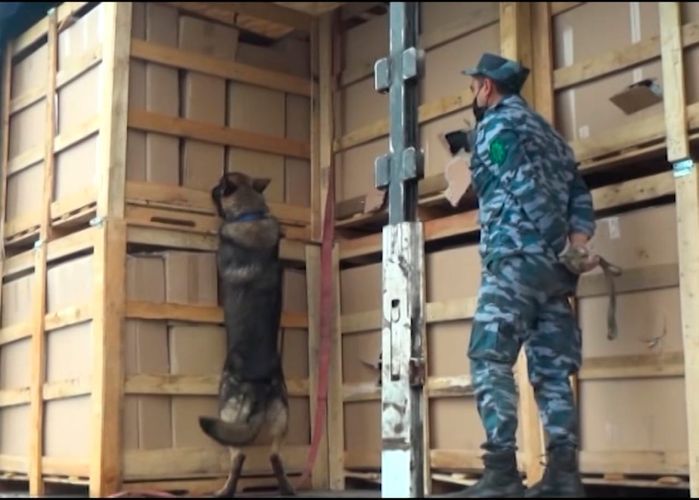 За две недели на границе пресечена контрабанда 730 кг наркотиков 
