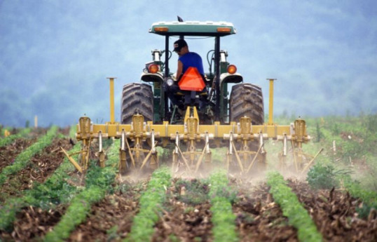 Азербайджанские фермеры получили посевных субсидий на 121 млн манатов