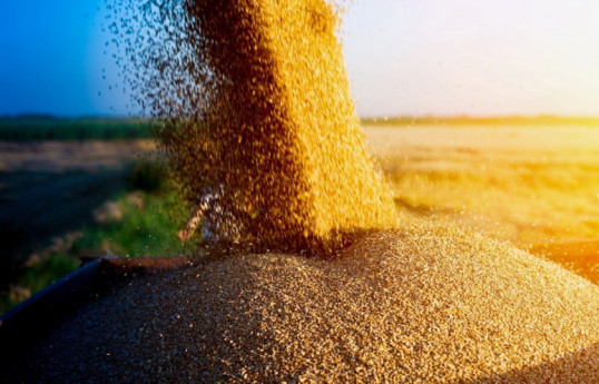 Азербайджан увеличил импорт пшеницы на 30%