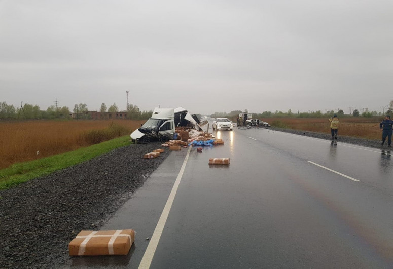 В ДТП с «Газелью» в России погибли пять человек