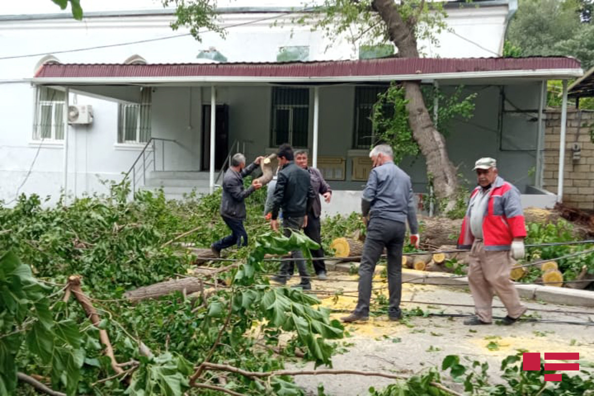 В Баку от последствий ураганного ветра пострадали 11 человек