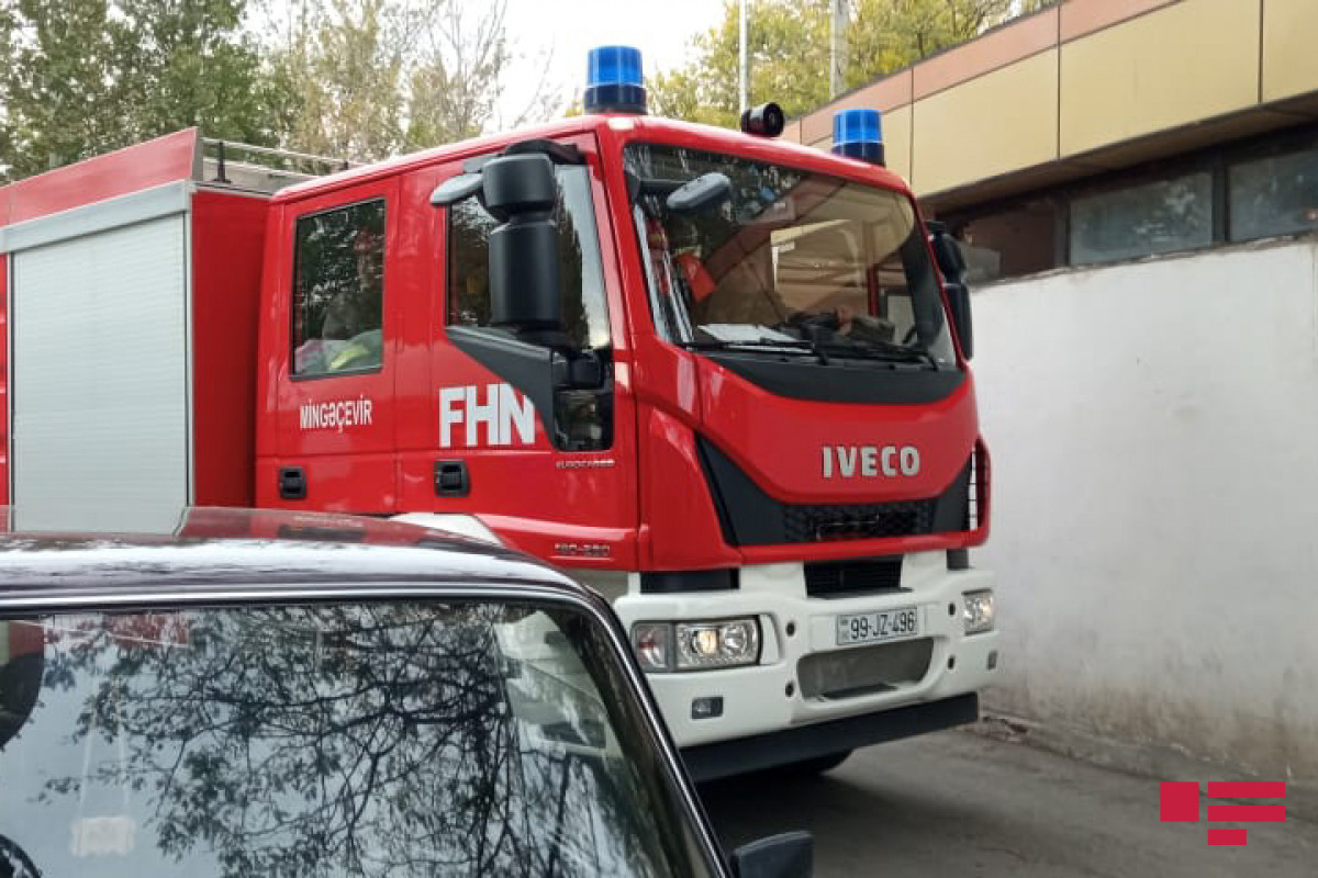 Государственная служба пожарной охраны МЧС