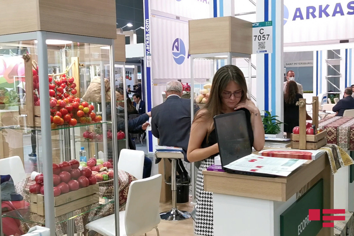 Азербайджан в очередной раз участвует в международной выставке в Москве – ФОТО  