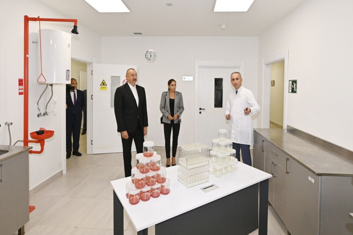 Президент ознакомился с предприятием ООО «Grand-Agro İnvitro», принял участие в открытии перерабатывающего завода ООО «Azbadam»