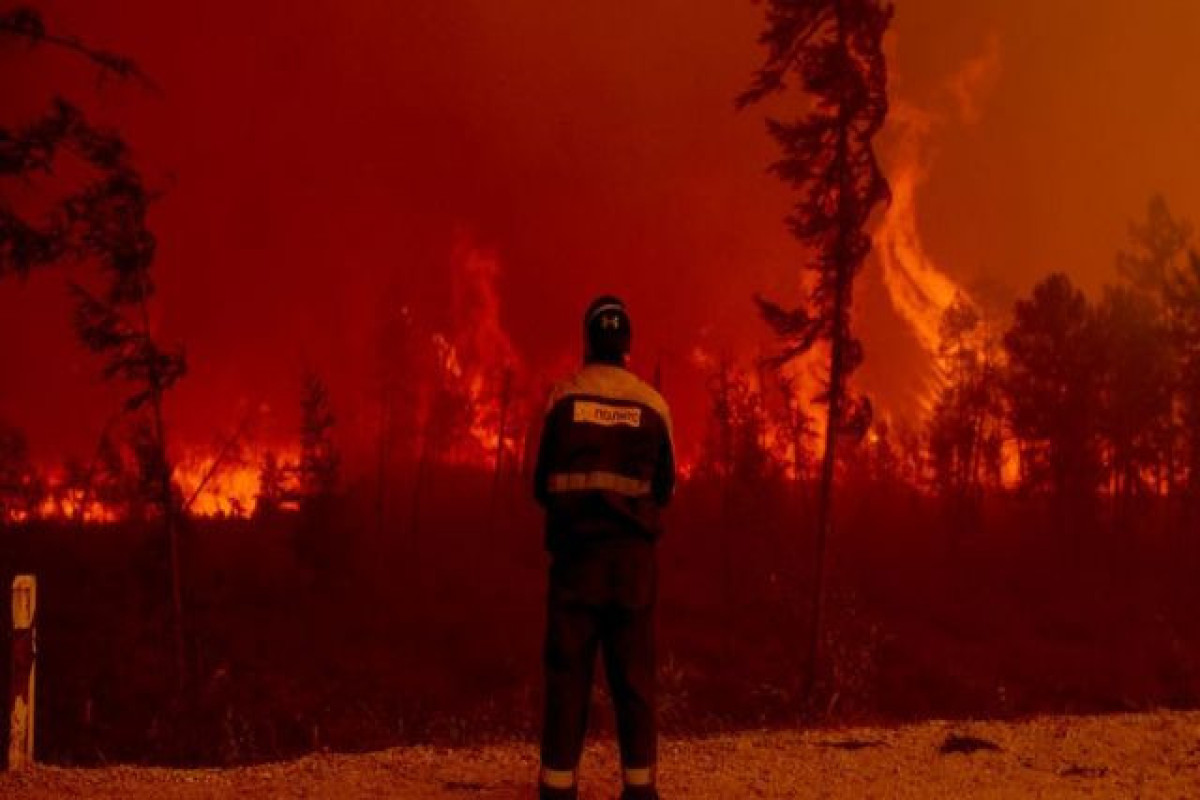 Площадь лесных пожаров в России увеличилась более чем на 17 тыс. га