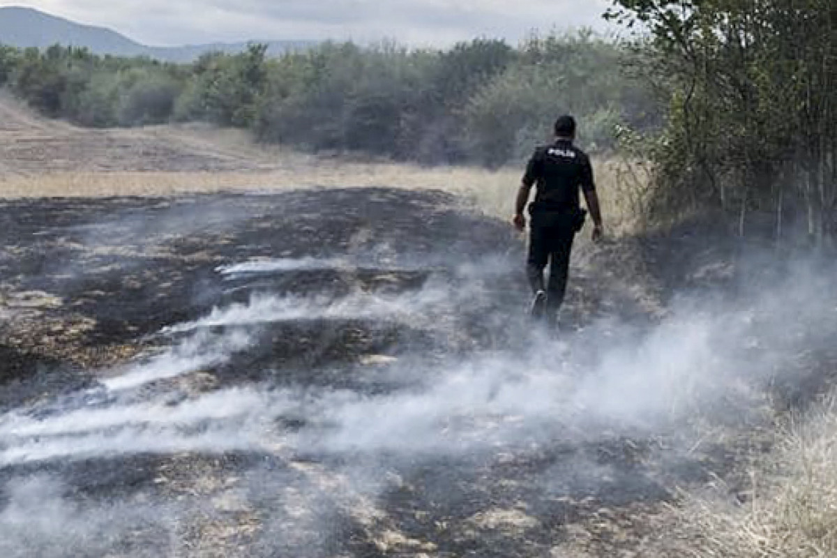 В Огузском районе сгорела лесополоса