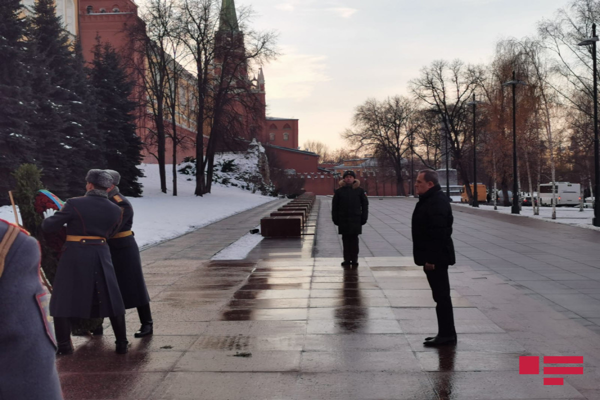 Начался рабочий визит главы МИД Азербайджана в Россию - ФОТО 