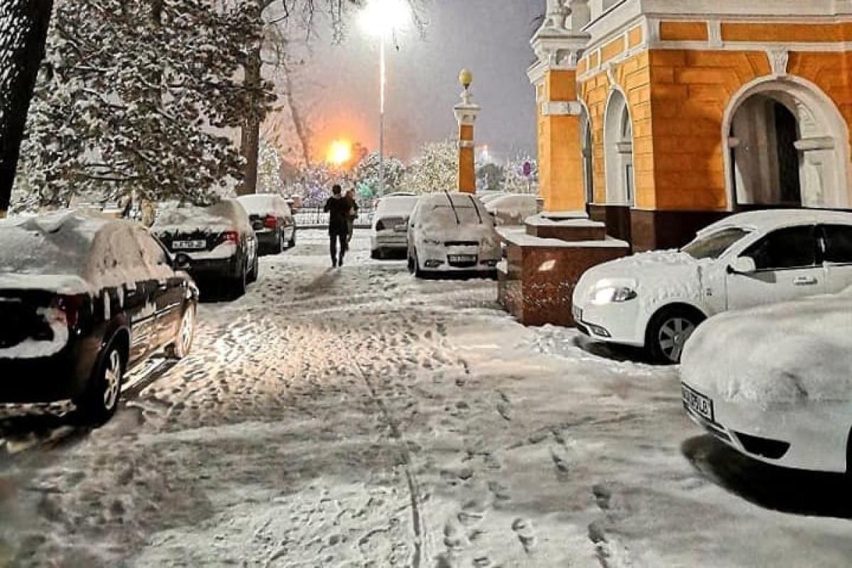 Температура в Узбекистане может опуститься почти на 30 градусов ниже нормы