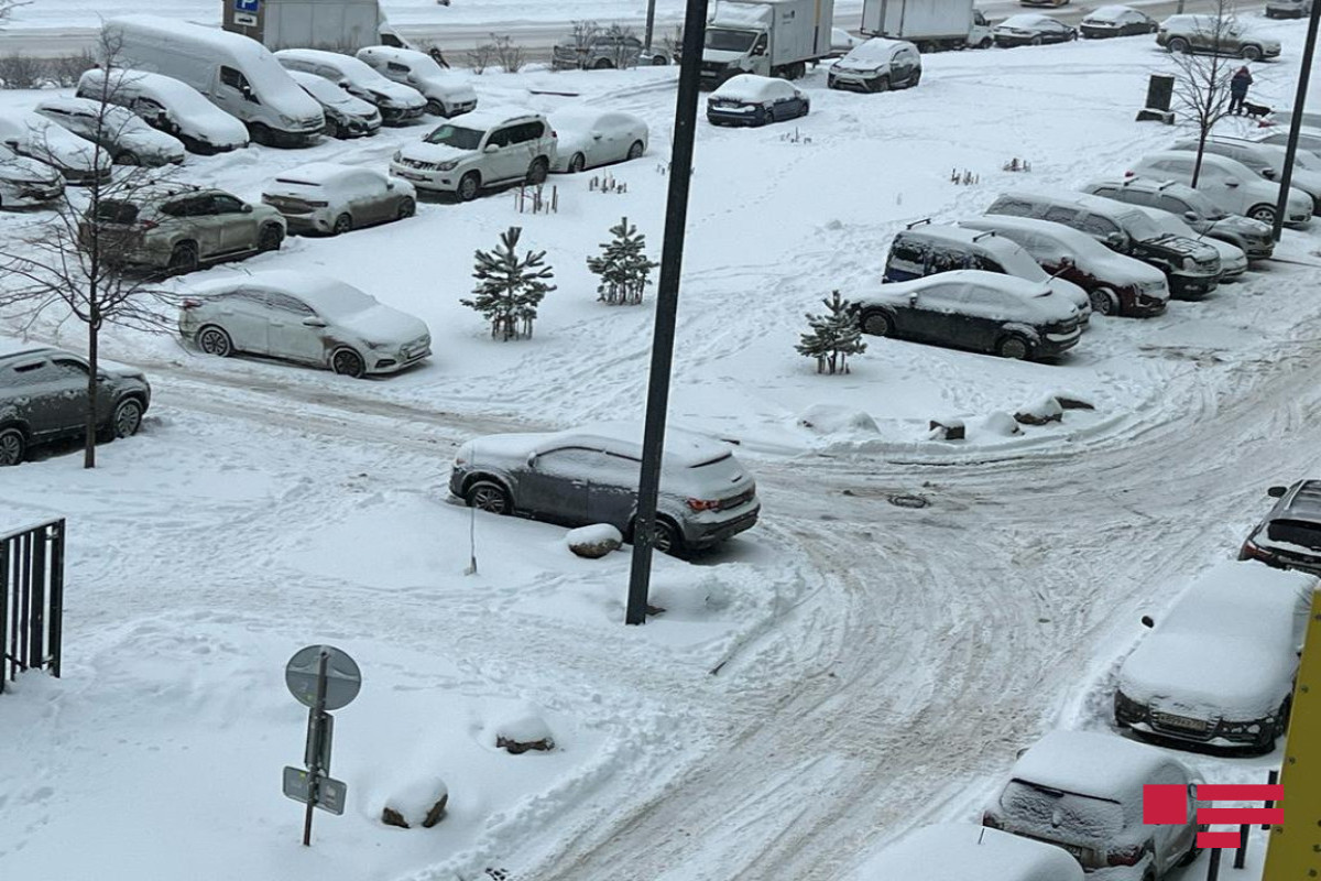 Высота снежного покрова в Москве достигла 19 см-ФОТО 