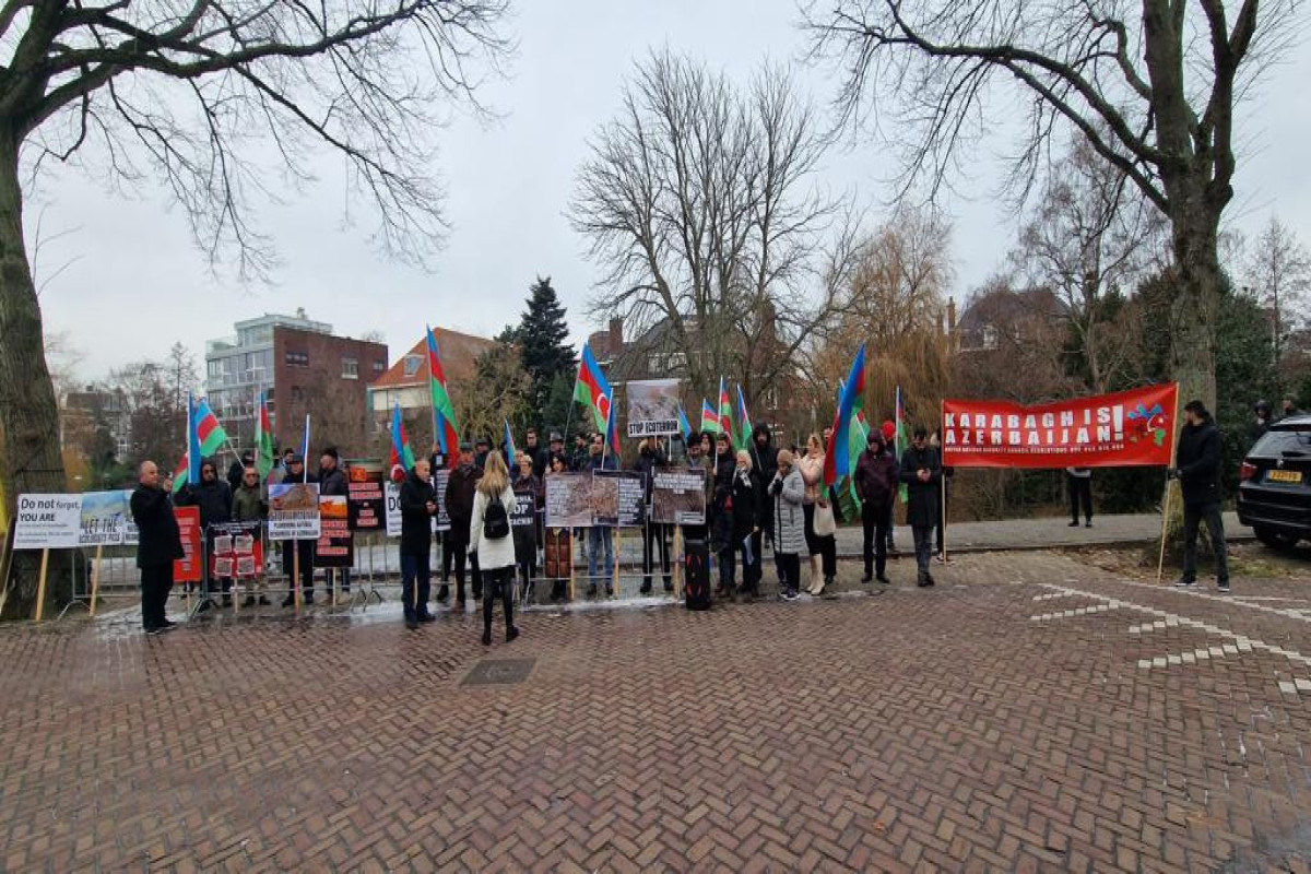Акция и шествие азербайджанцев в Гааге