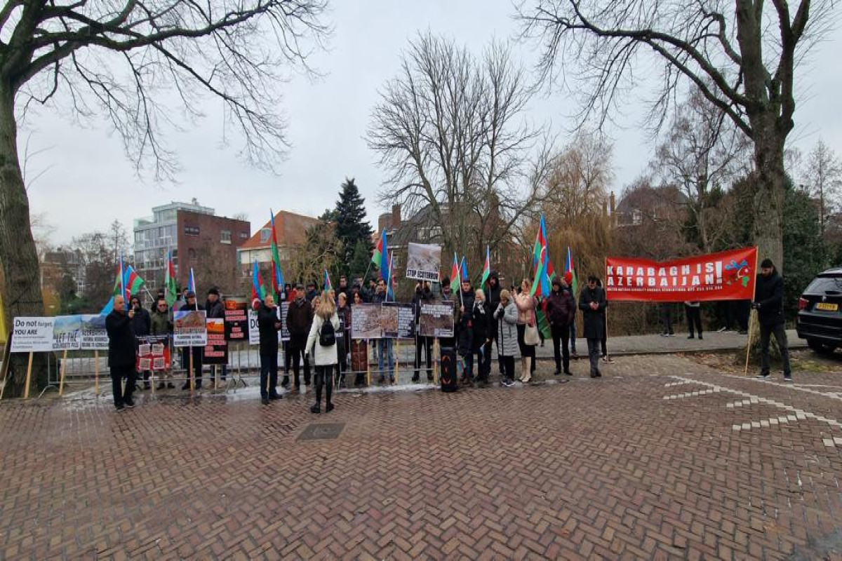 Акция и шествие азербайджанцев в Гааге