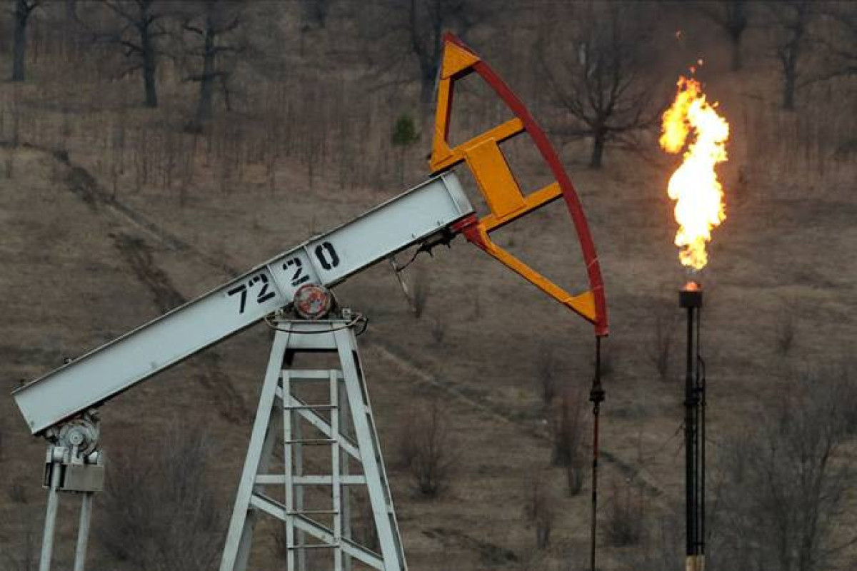 Экспорт российской нефти сократился более чем в два раза