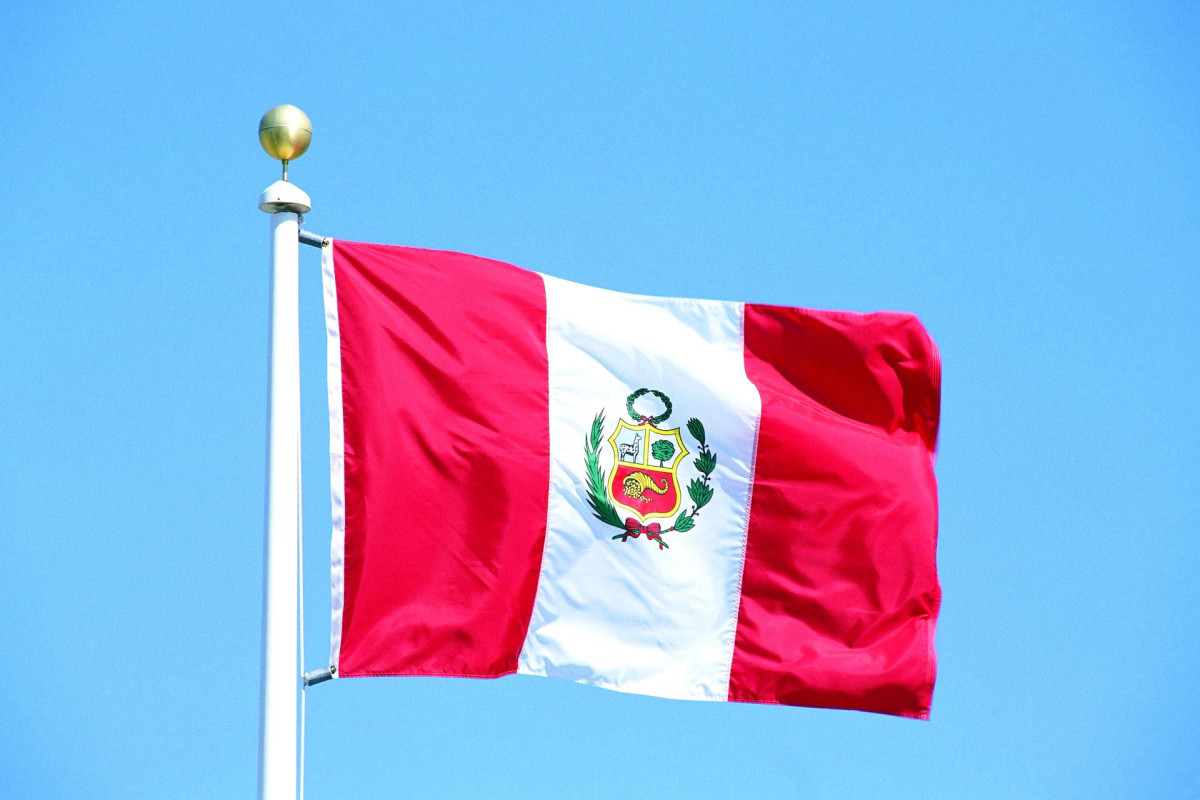 Парламент Перу проголосовал за проведение досрочных выборов в апреле 2024 года