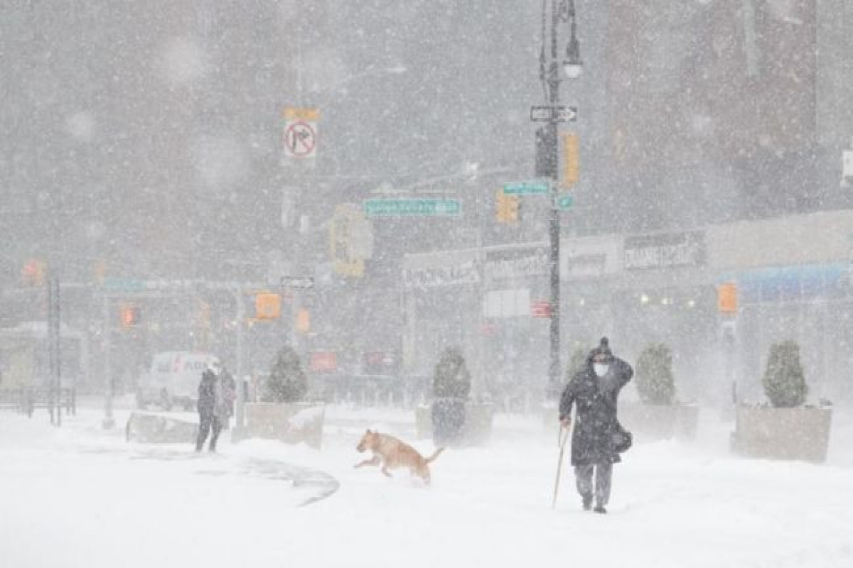 Общее число жертв снежных бурь в США и Канаде выросло до 50 человек-ОБНОВЛЕНО-5 