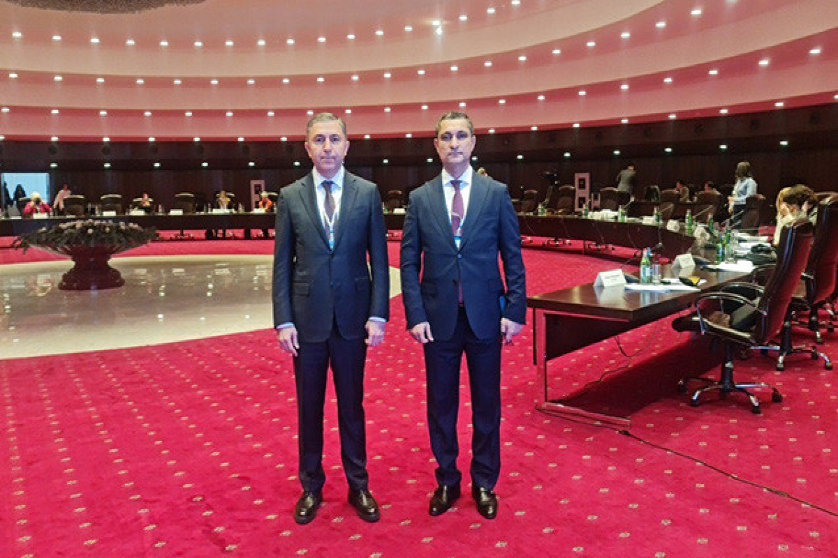 Таир Миркишили, Солтан Мамедов