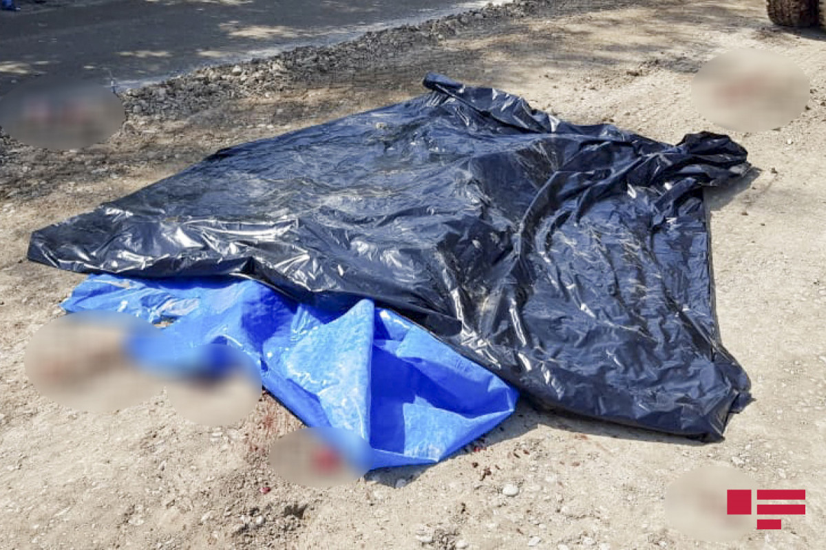 В Говсане автомобиль сбил насмерть пешехода