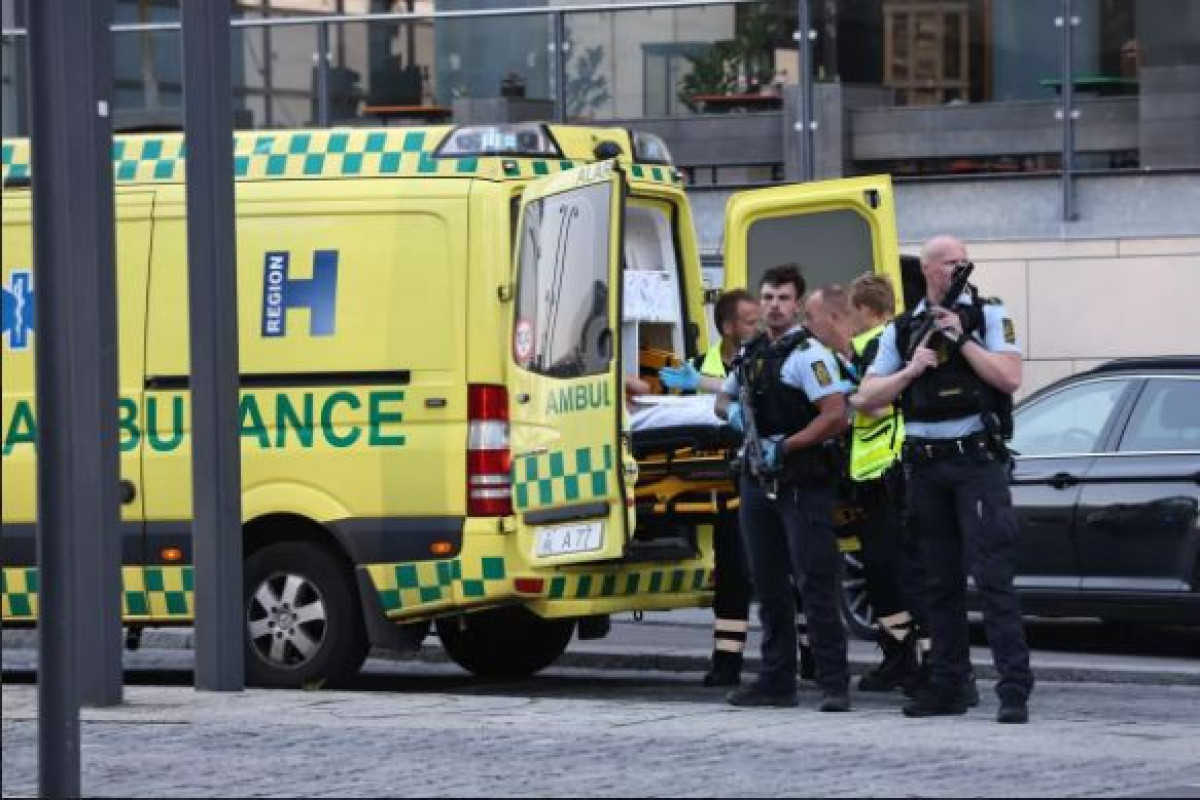 Инцидент с гибелью 3 человек в Дании не был терактом – ОБНОВЛЕНО-2  