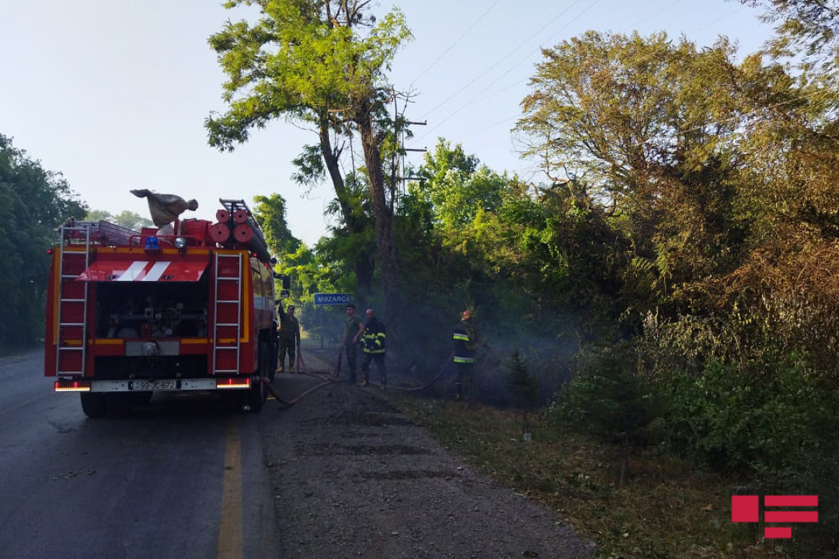 В Хачмазе потушен пожар в лесистой местности