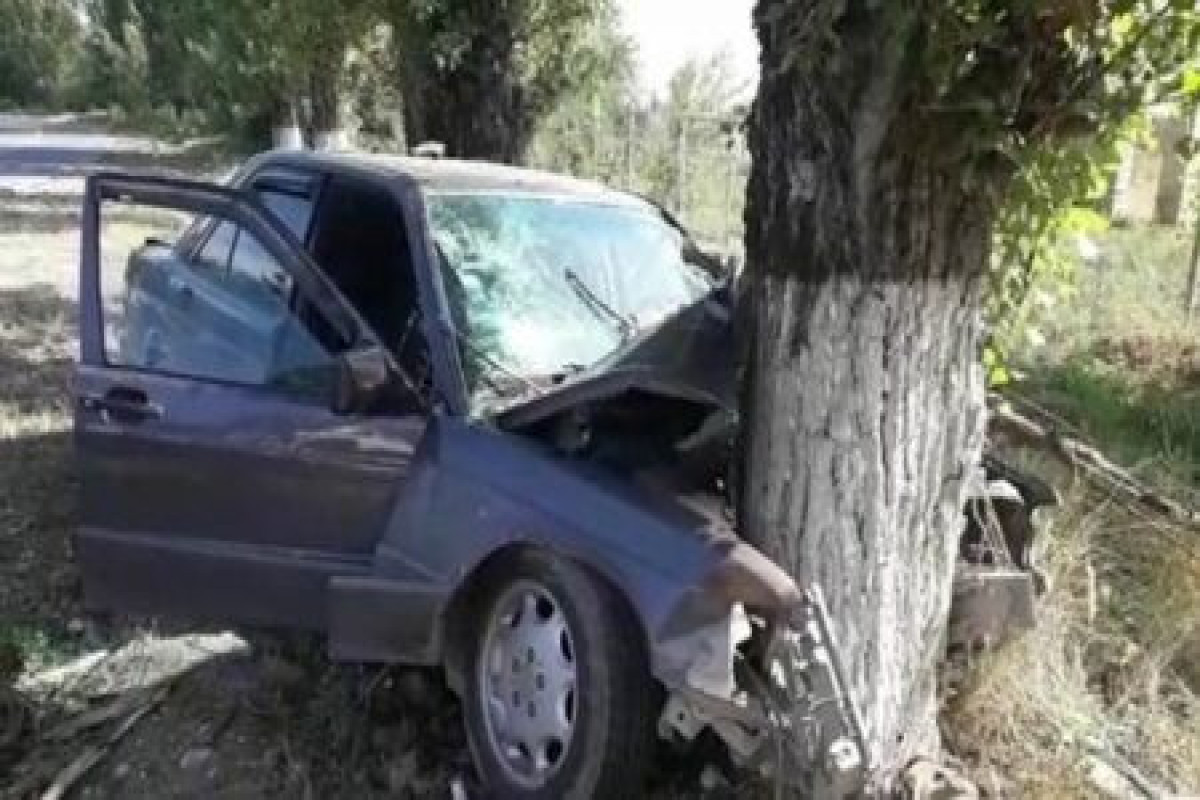 В Шеки автомобиль врезался в дерево: один человек погиб, еще один ранен