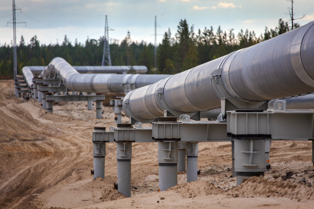 Доходы Азербайджана от экспорта нефти выросли до 64%