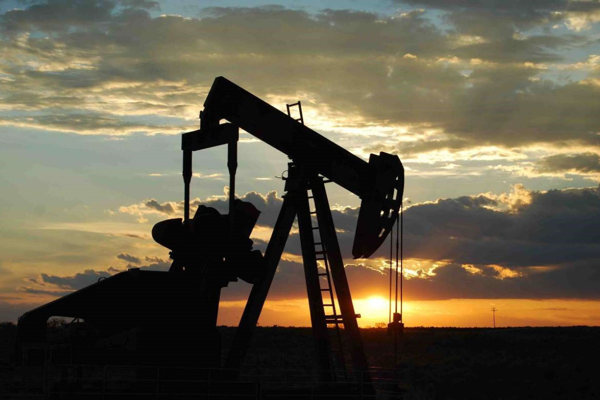В ОПЕК назвали нездоровыми текущие цены на нефть