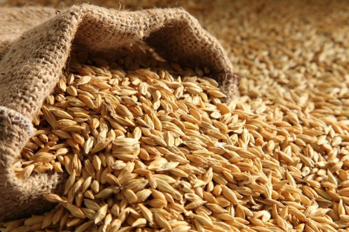Азербайджан увеличил импорт пшеницы в семь раз