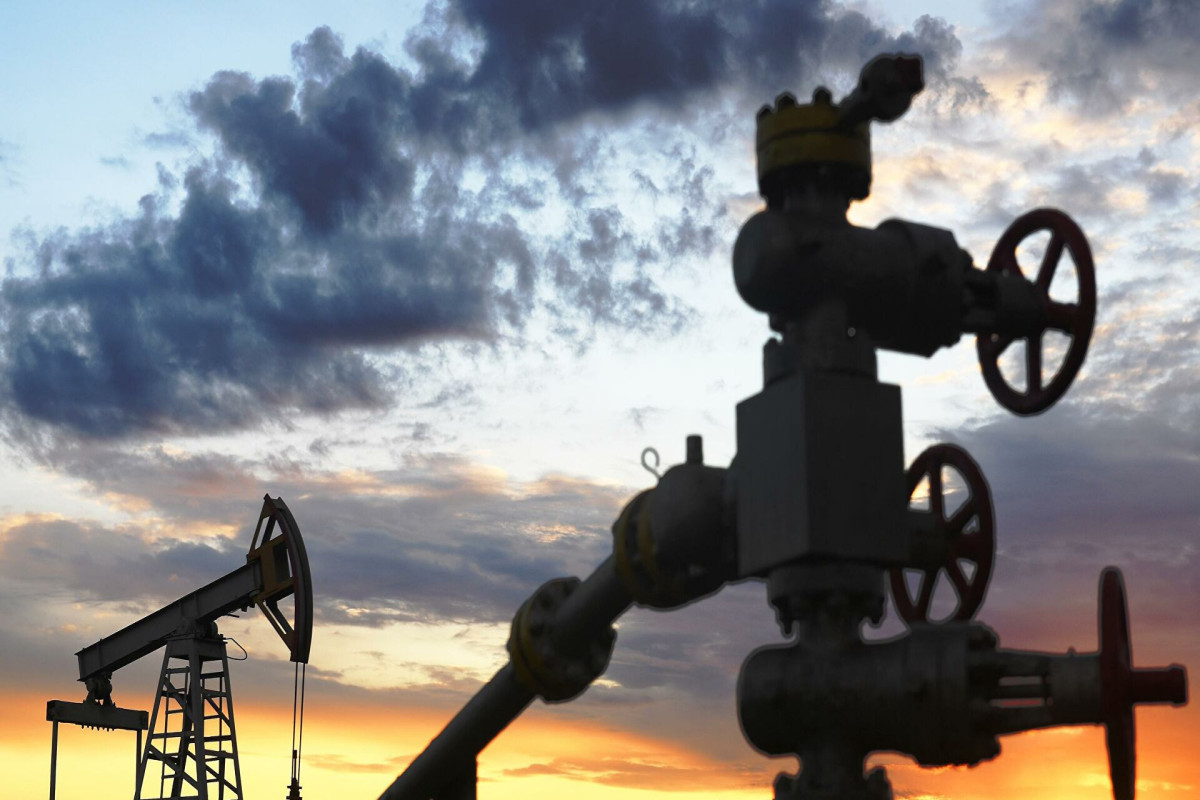 Индийская госкомпания купила у России три миллиона баррелей нефти