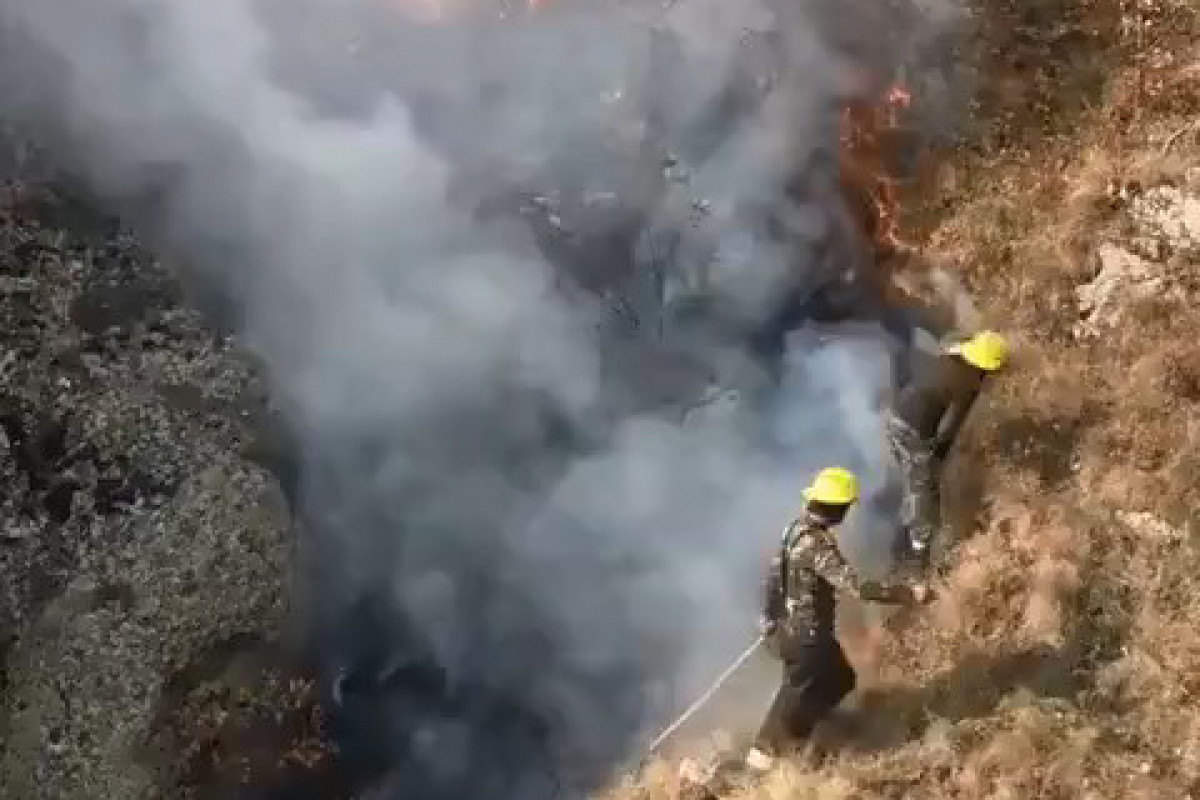 В Огузе в лесу произошел пожар-ВИДЕО 