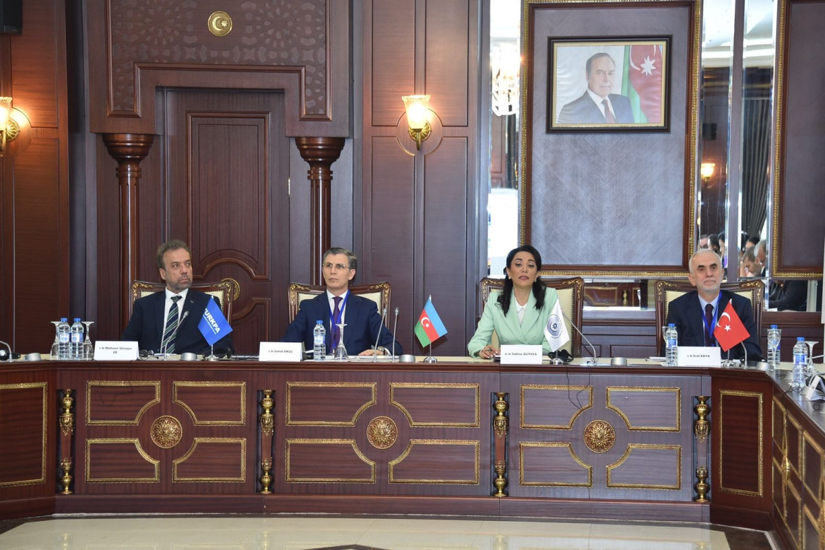 В Милли Меджлисе состоялась международная конференция по защите прав человека
