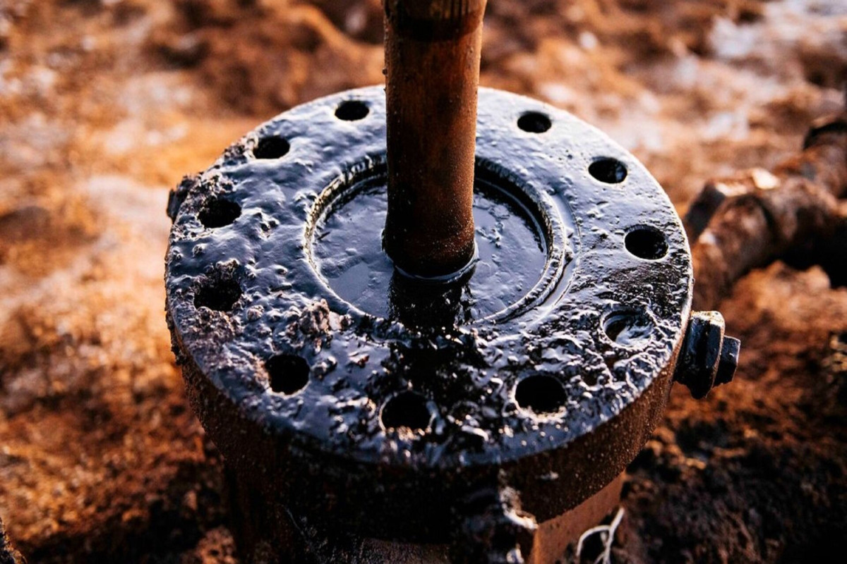 Япония приветствовала решение ЕС о частичном эмбарго на российскую нефть