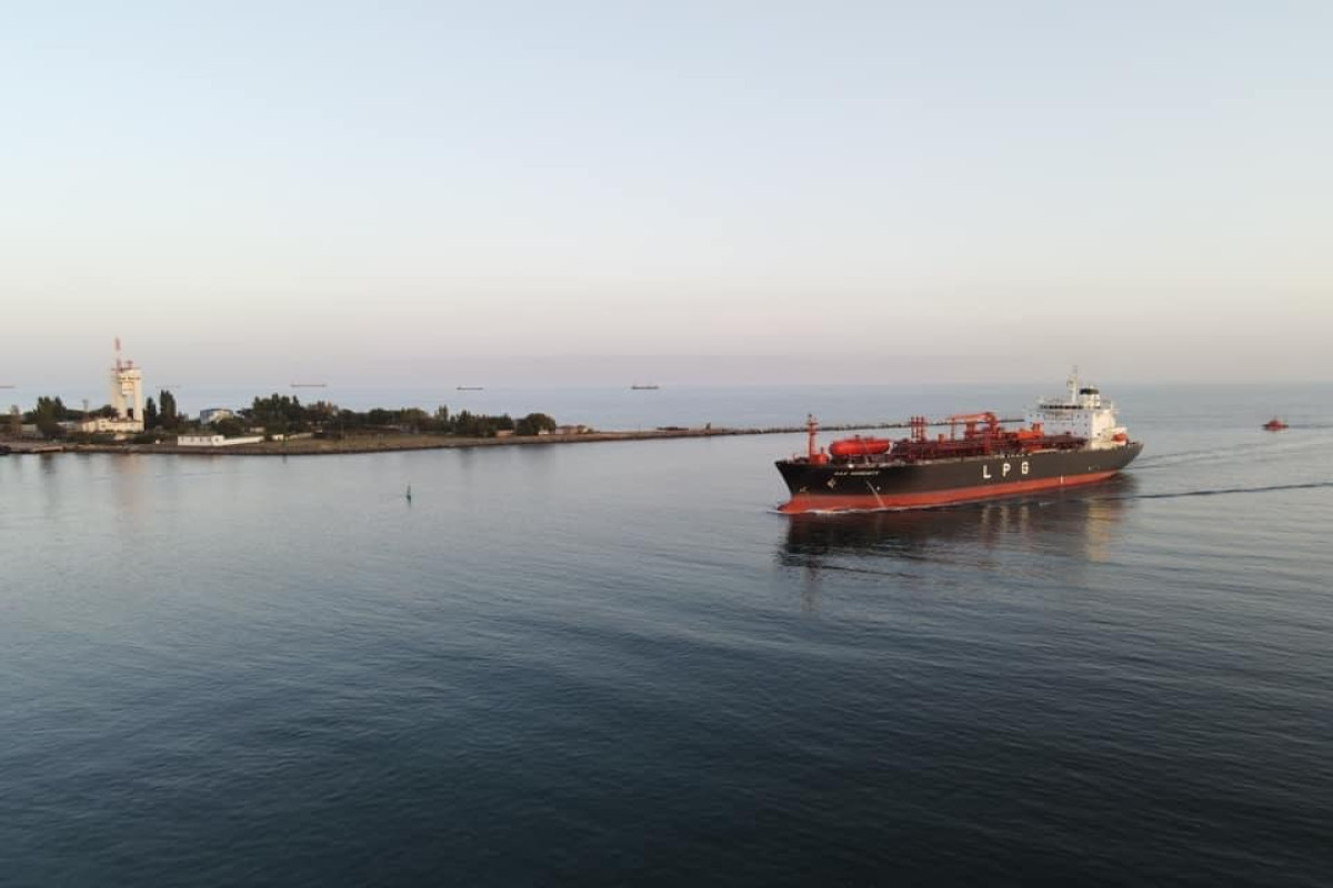 Россия возобновила участие в досмотре судов в Черном море