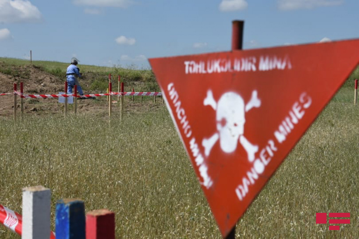 Представитель Азербайджана в Совете Европы: Армения проводит террор в Азербайджане