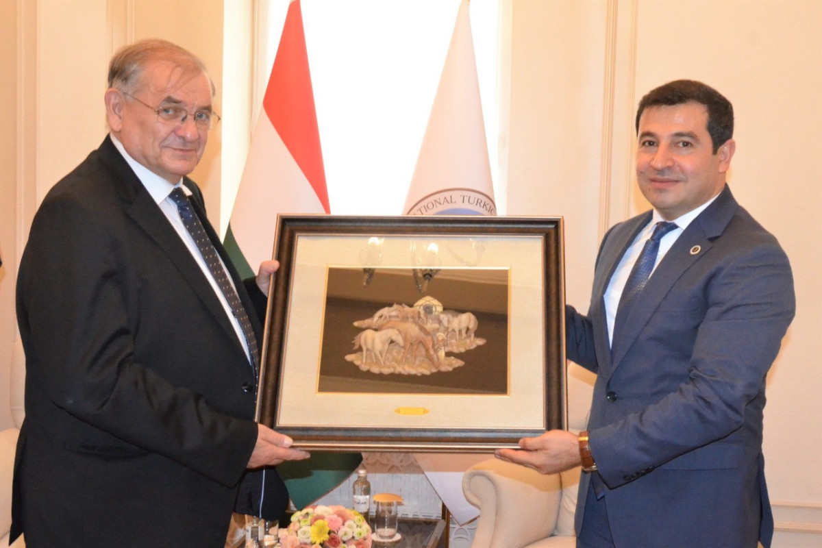Международную Тюркскую Академию посетил вице-спикер Национального Собрания Венгрии