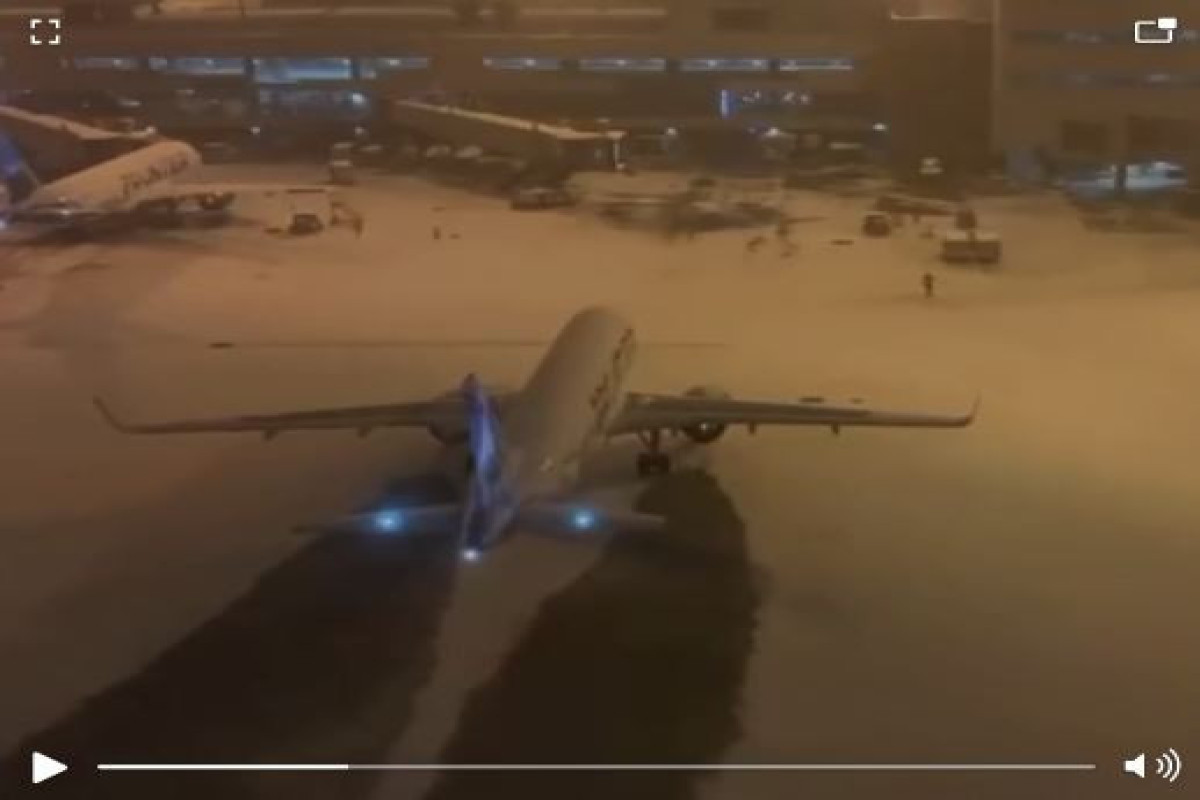 Из-за непогоды отменено более 50 рейсов в аэропортах Москвы-ВИДЕО 