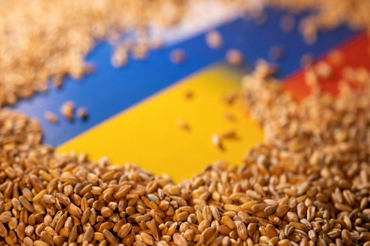 Франция ищет альтернативу морскому пути вывоза украинского зерна
