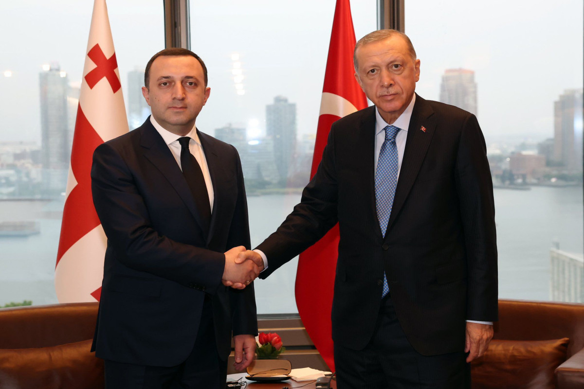 Президент Турции встретился с премьер-министром Грузии