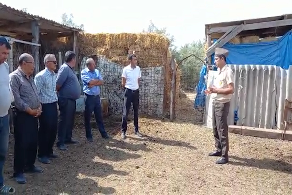 МЧС обратилось к гражданам в связи с пожарной безопасностью-ВИДЕО 