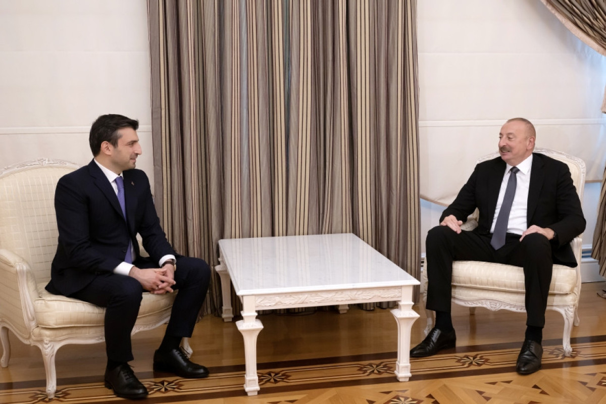 Президент Ильхам Алиев принял Сельджука Байрактара