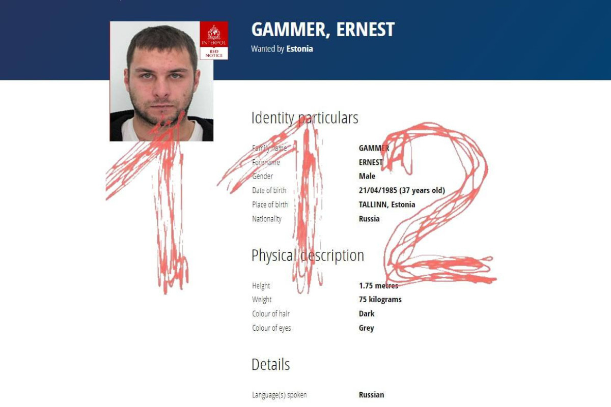 Эрнест Гаммер