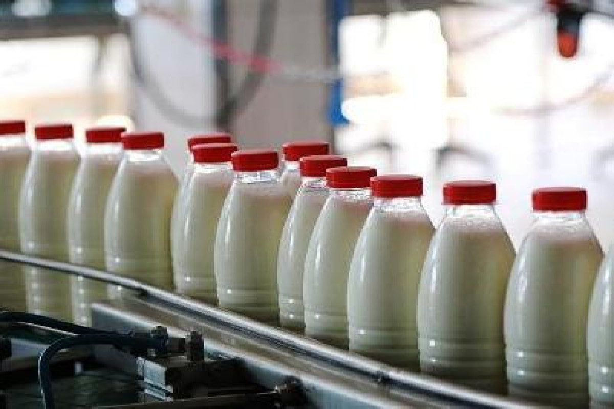 Сегодня вступает в силу запрет на экспорт молочной продукции из Армении в РФ