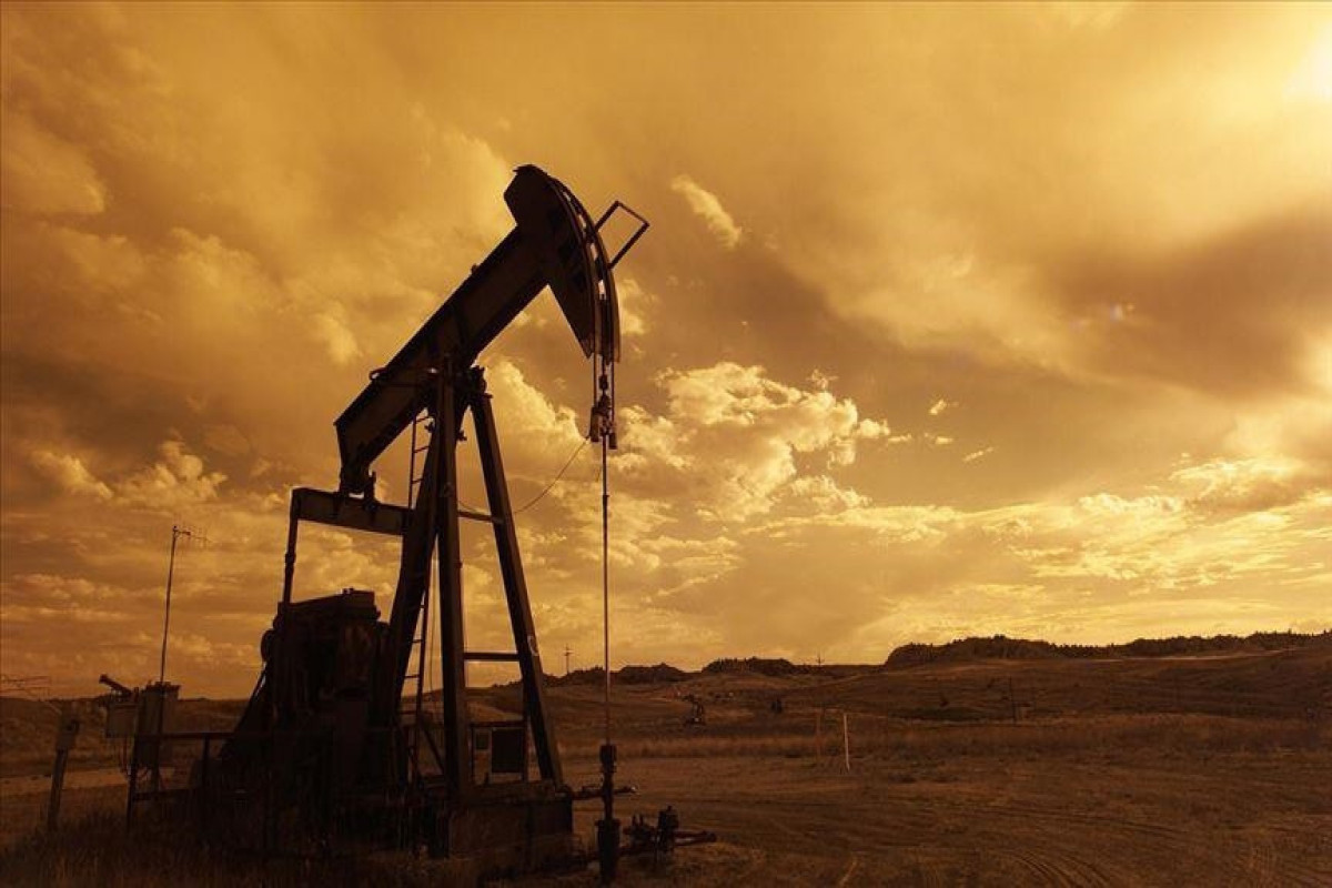 Стратегический резерв нефти в США сократился до минимальных за 40 лет значений