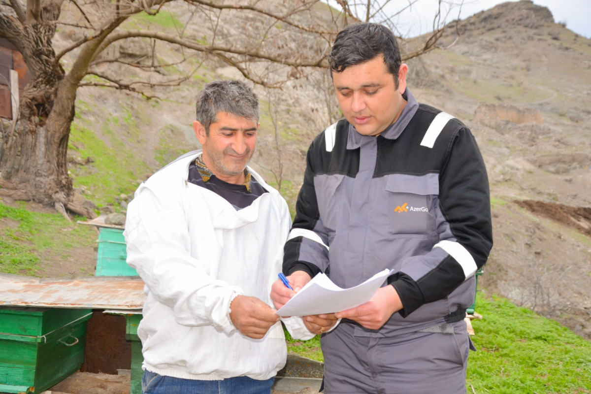 Дашкесанским пчеловодам оказаны индивидуальные аграрные консультационные услуги