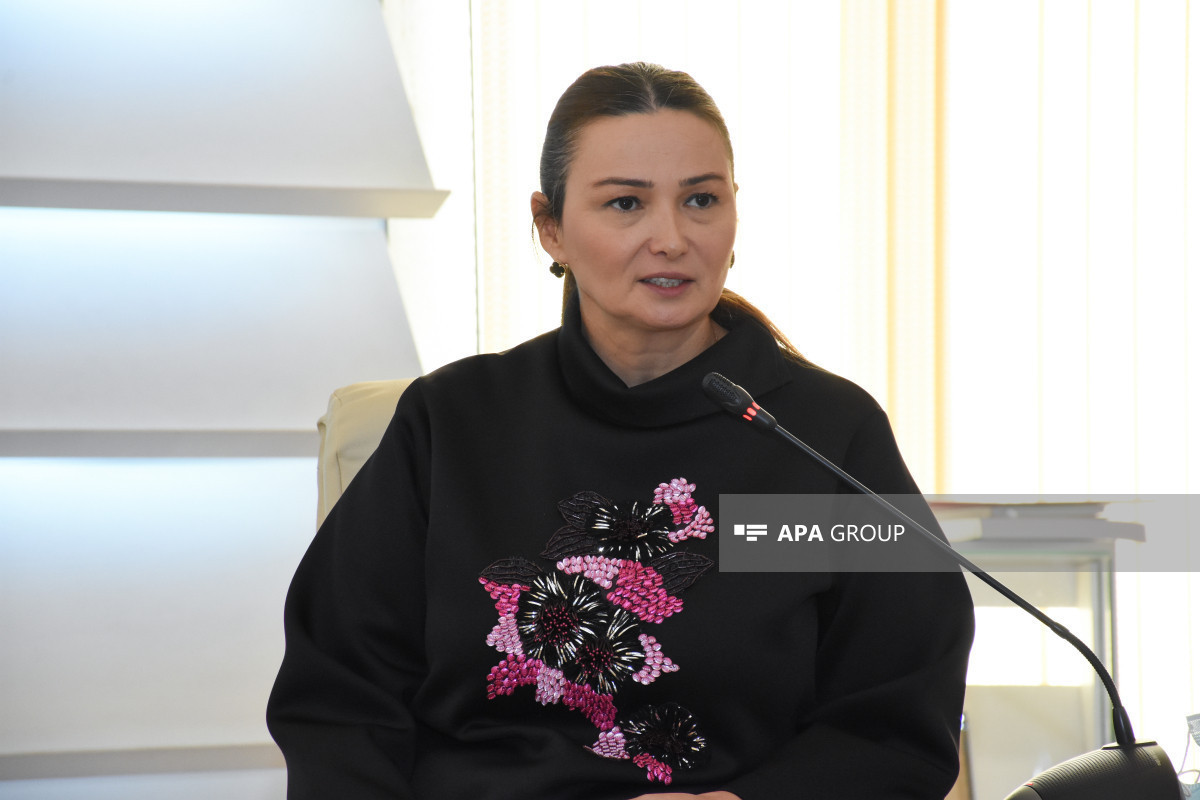 Ганира Пашаева: Наши соотечественники из Южного Азербайджана хотят, чтобы были передачи, обучающие азербайджанскому языку