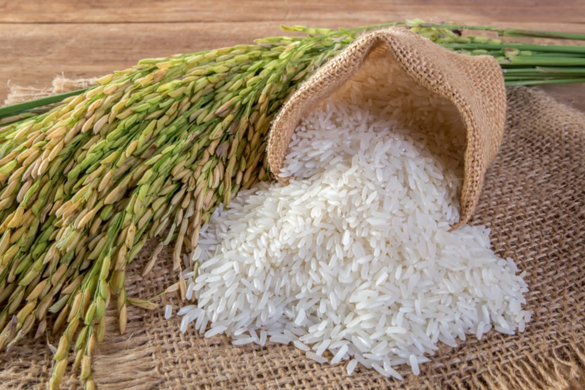 Fitch Solutions: Дефицит риса в мире может стать рекордным за 20 лет