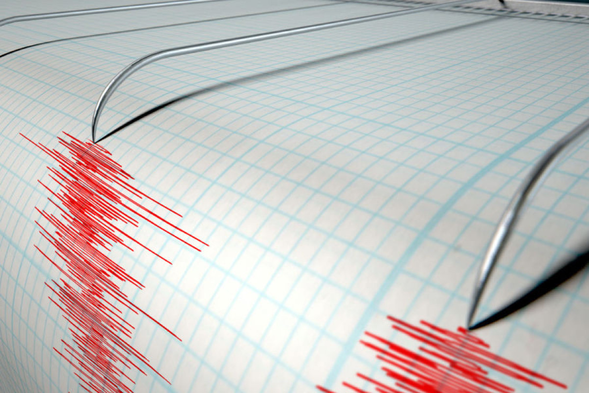 У берегов Новой Зеландии произошло землетрясение магнитудой 5,4