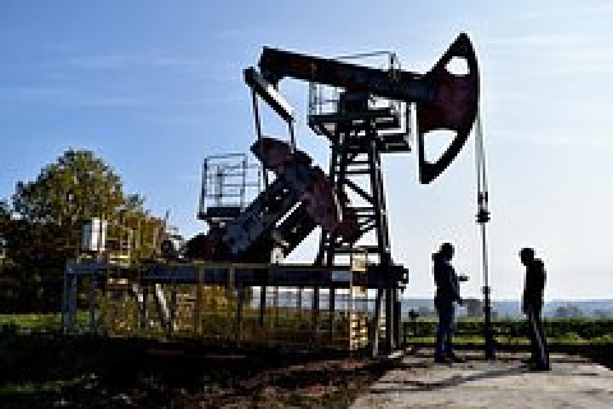 В России приостановили публикацию официальных данных о добыче нефти и газа